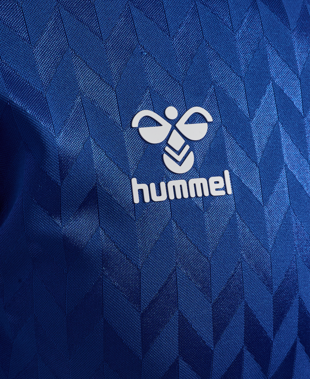 Goalkeeper Jersey 25/26 Blue