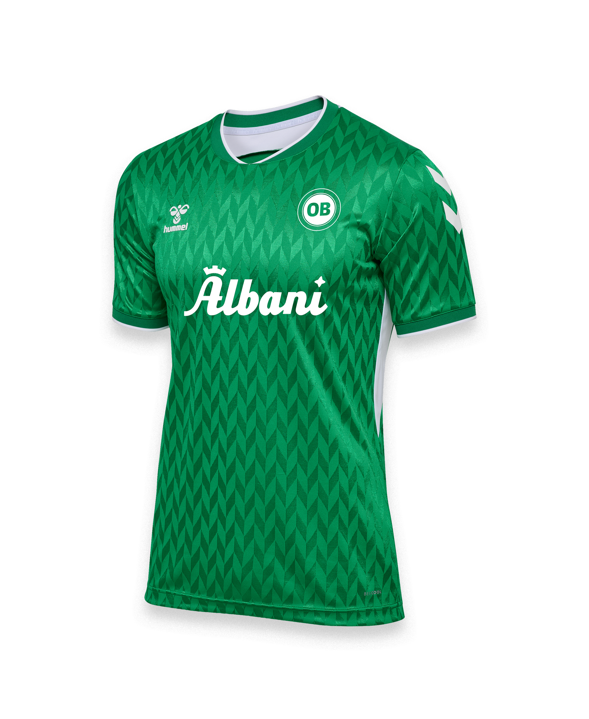 Goalkeeper jersey 25/26 Green